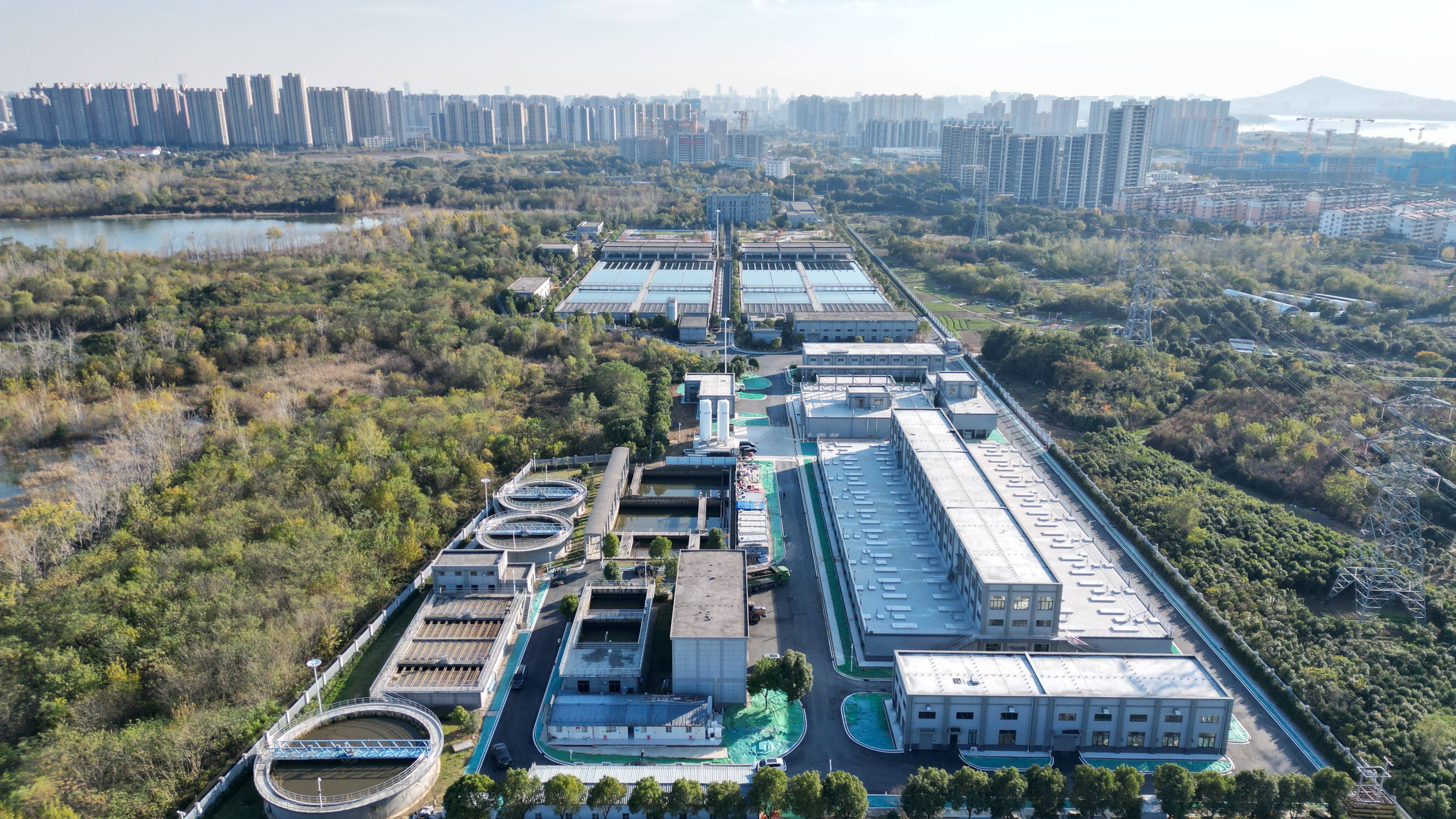 株洲市合肥专业企业价值增长(合肥市重点企业产业目录)
