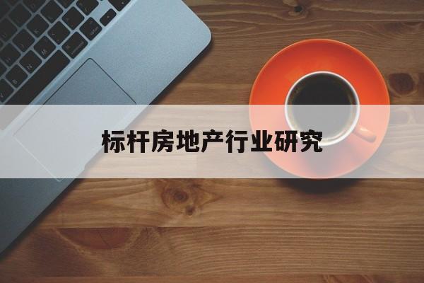 株洲市标杆房地产行业研究(房地产领域的标杆人物)