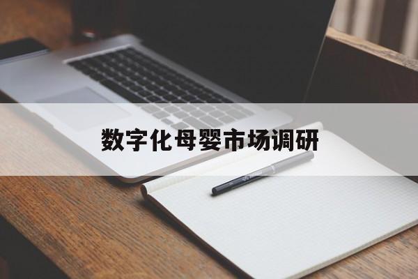 株洲市数字化母婴市场调研(数字化母婴市场调研报告)